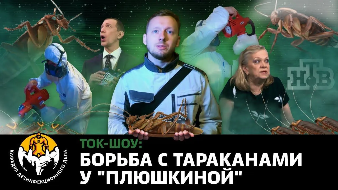 В нашей работе часто приходится сталкиваться с захламленными квартирами людей-собирателей, Плюшкиных. Часто от них страдает весь дом. Бывает их угнетают соседи. Обычно они тихие, скромные, застенчивые люди. И проблема не в них.