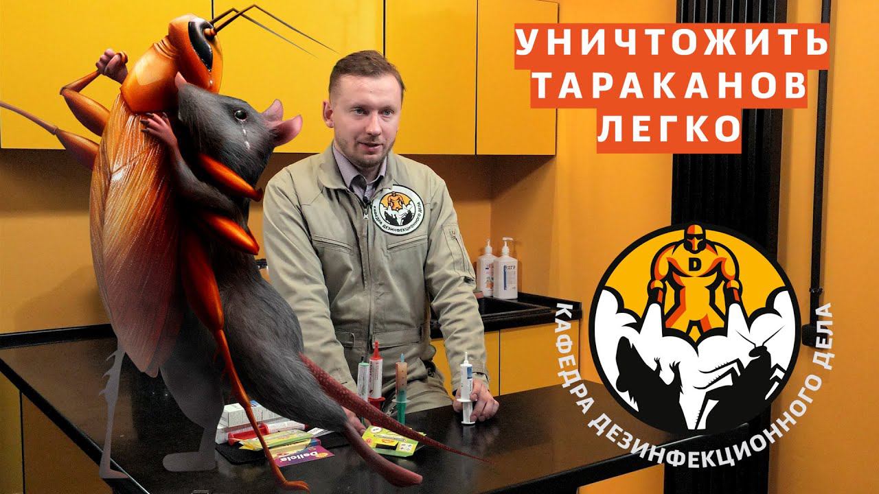Уничтожение домашних тараканов гелем