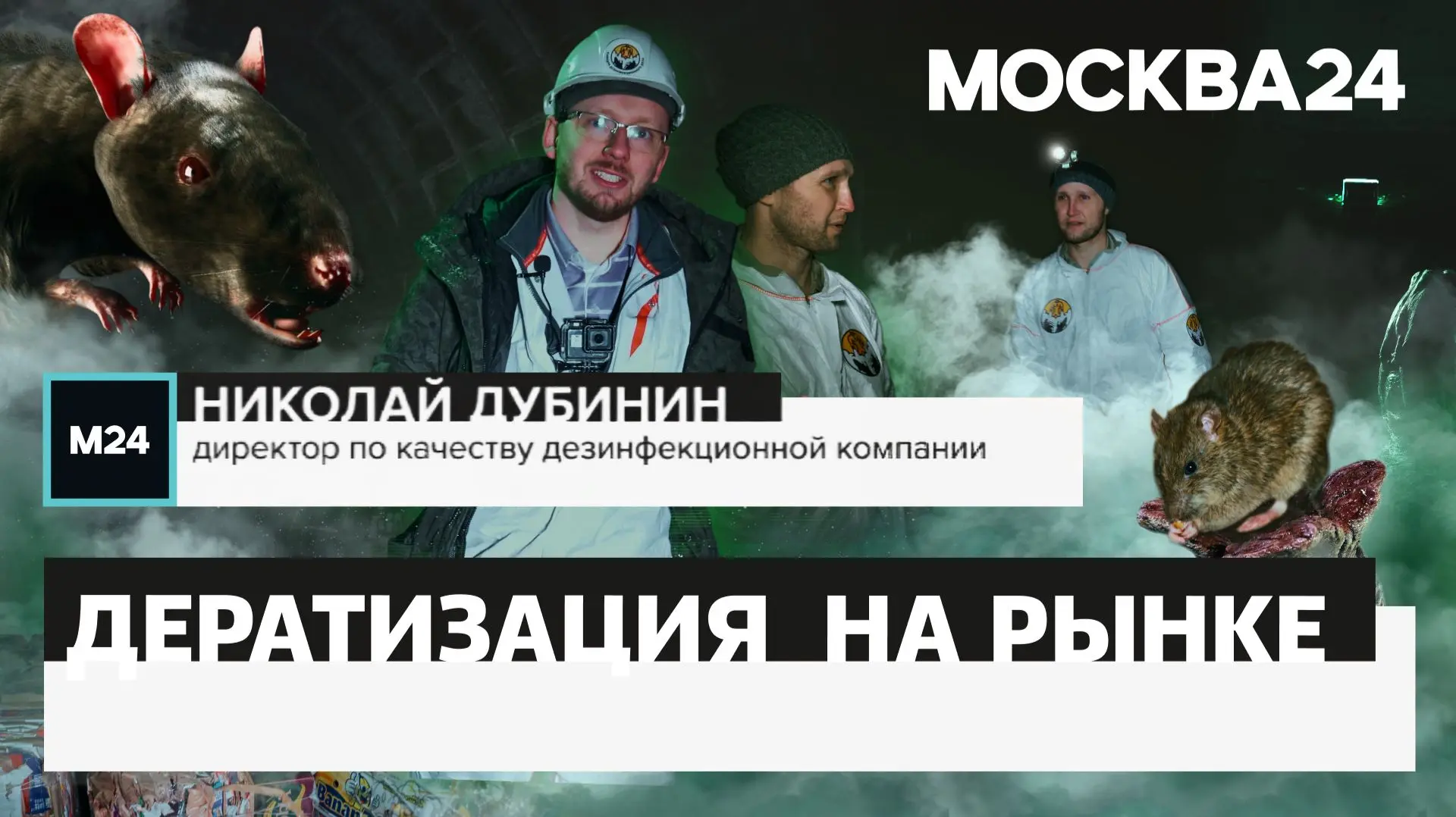 Уничтожение крыс не самая простая работа. Особенно если речь идет о крупном рынке.