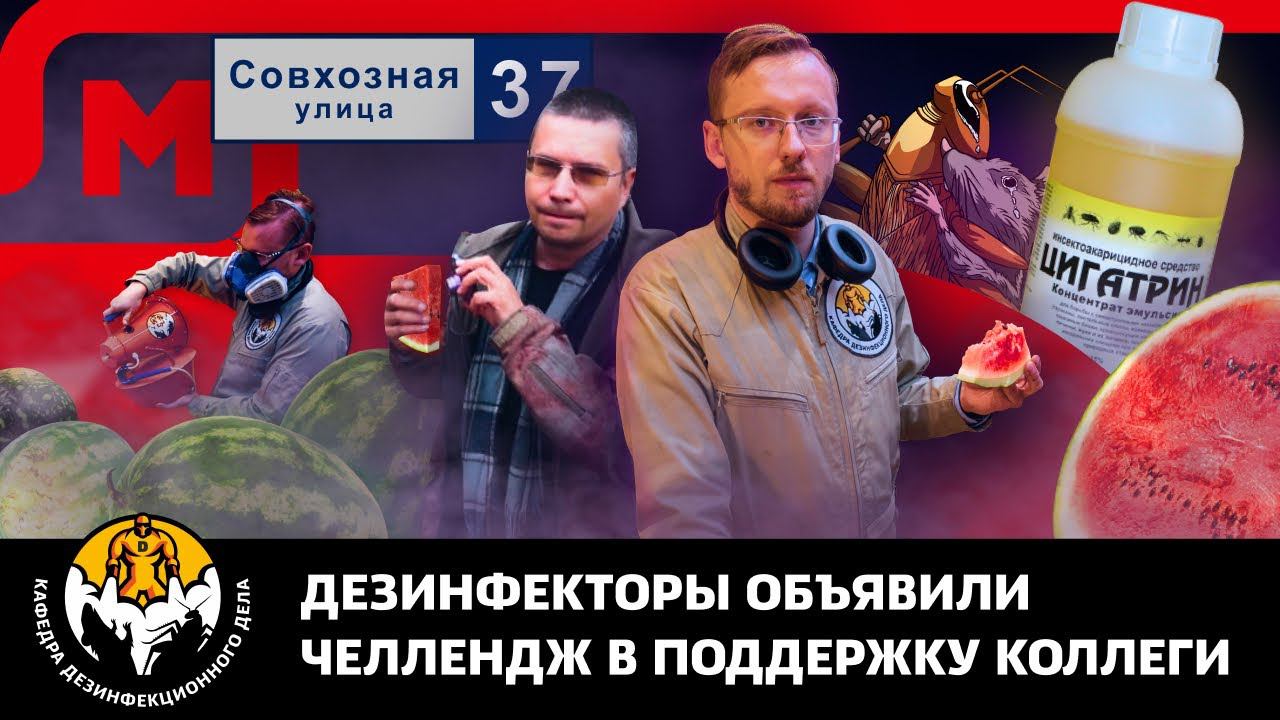 Дезинфекторы объявили челендж в защиту коллеги. Они едят арбуз с Цигатрином. 