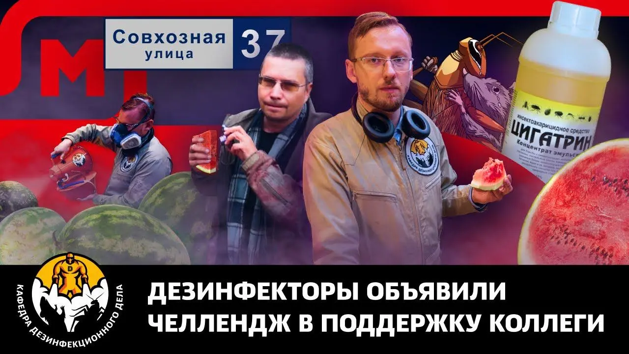 Дезинфекторы объявили челендж в защиту коллеги. Они едят арбуз с Цигатрином.
