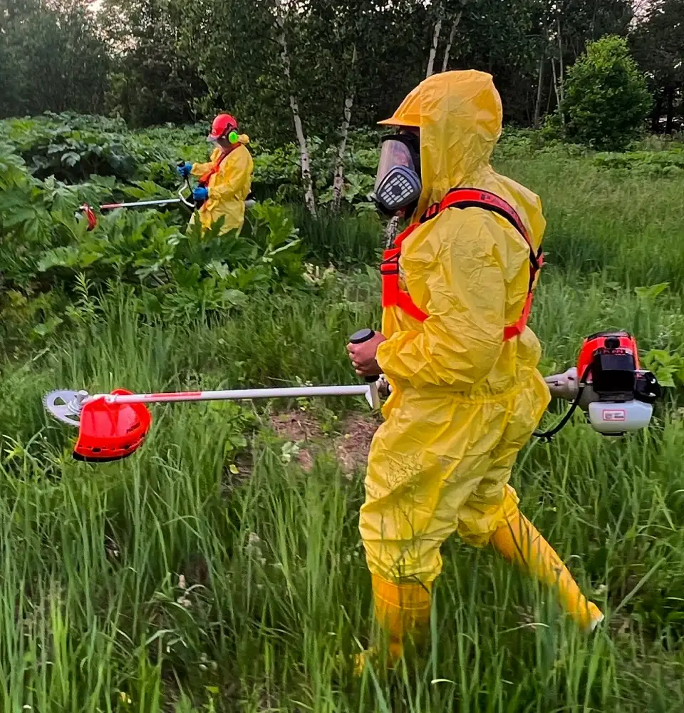 Дератизация, Дезинфекция, Дезинсекция, Пест-Контроль. Добролов
