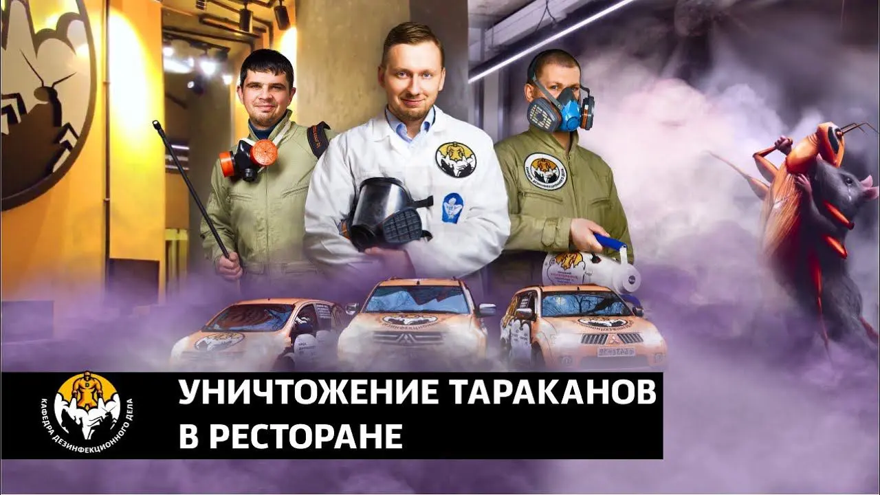 В видео наш эксперт, директор по качеству и врач-дезинфектолог Николай Дубинин подробно рассказывает о том, как правильно бороться с тараканами и крысами в ресторанах.