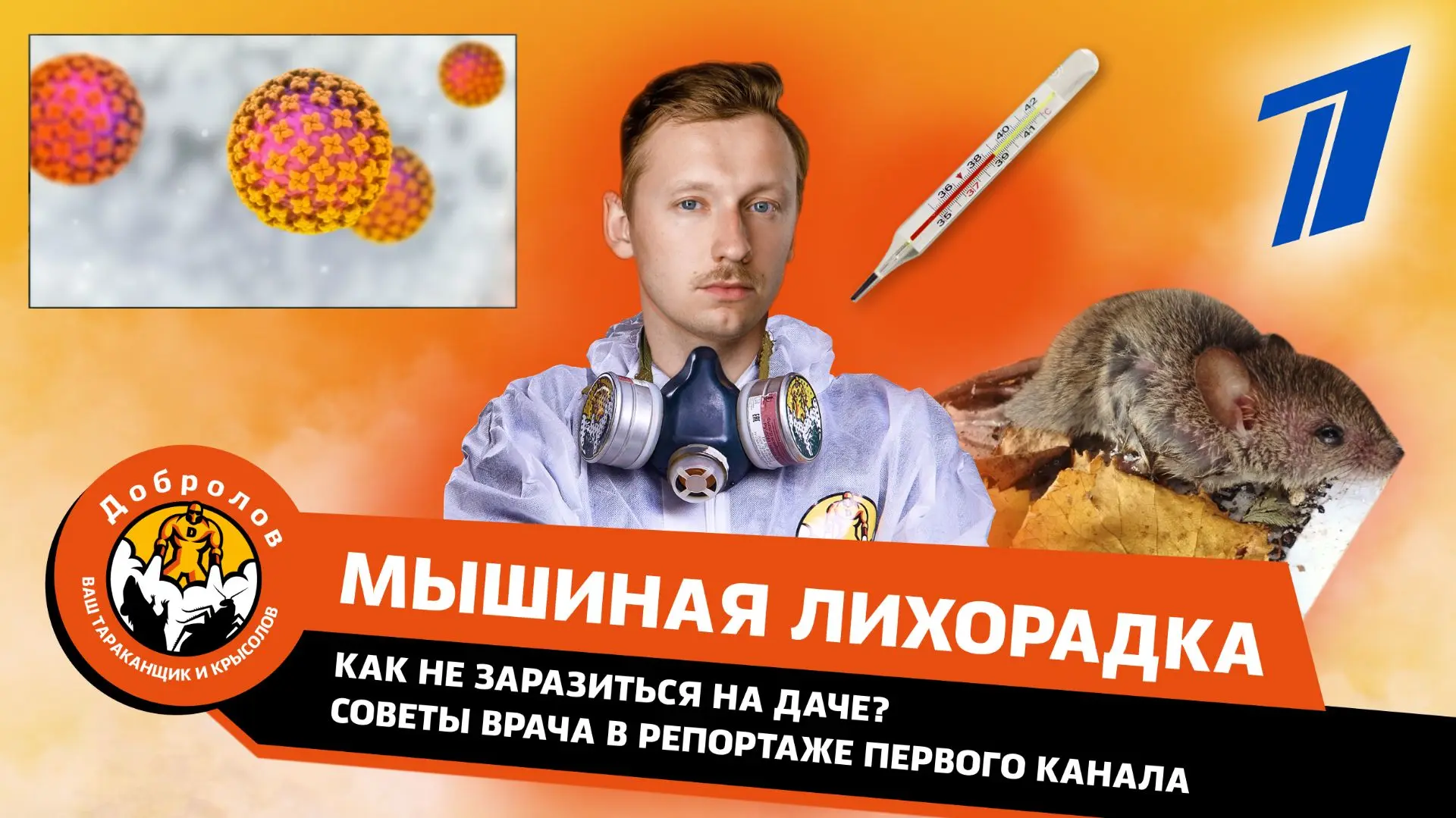 Уничтожение крыс не самая простая работа. Особенно если речь идет о крупном рынке. Мы выбрали для Вас специально такой.