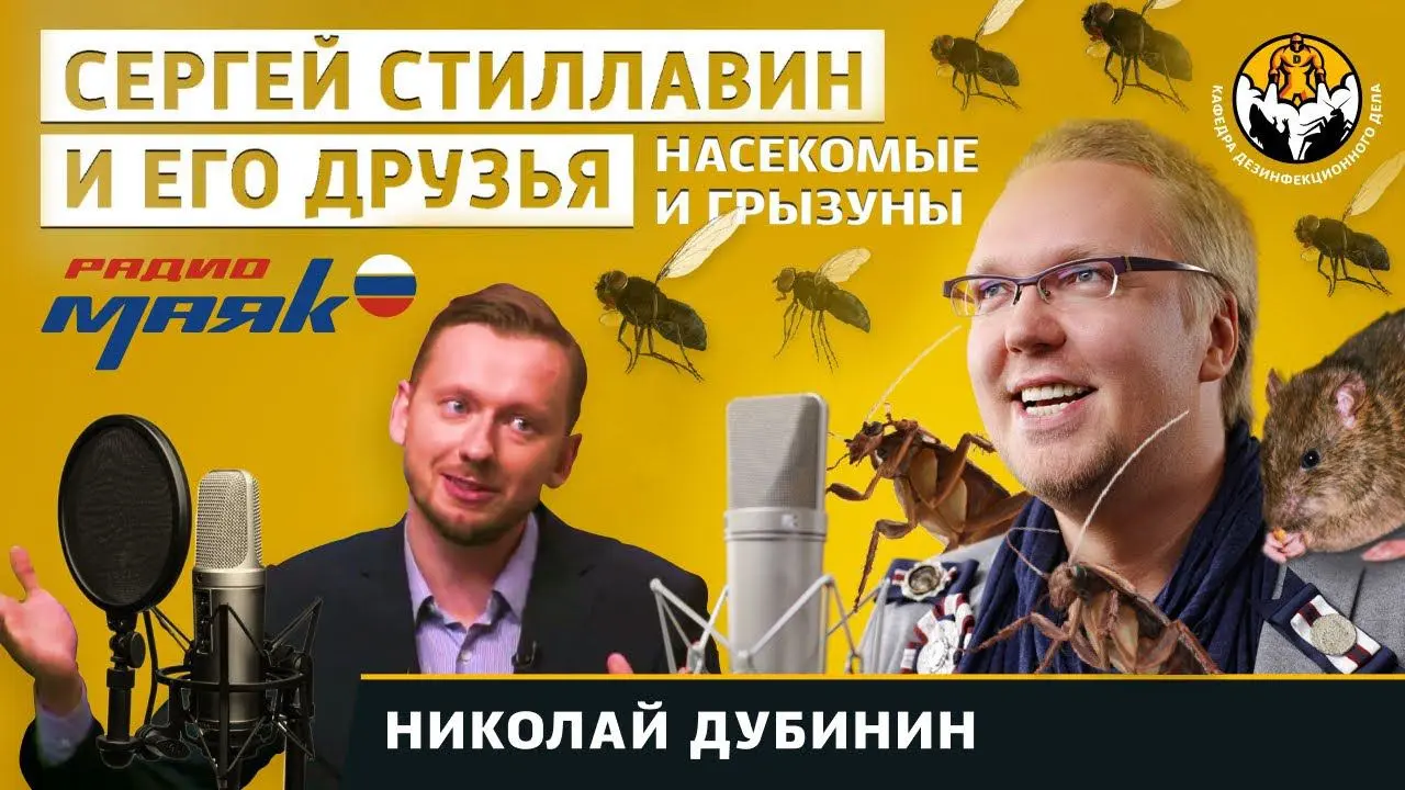 Сергей Стиллавин и врач Николай Дубинин в эфире радио Маяк обсуждают простые и доступные способы борьбы с вредителями