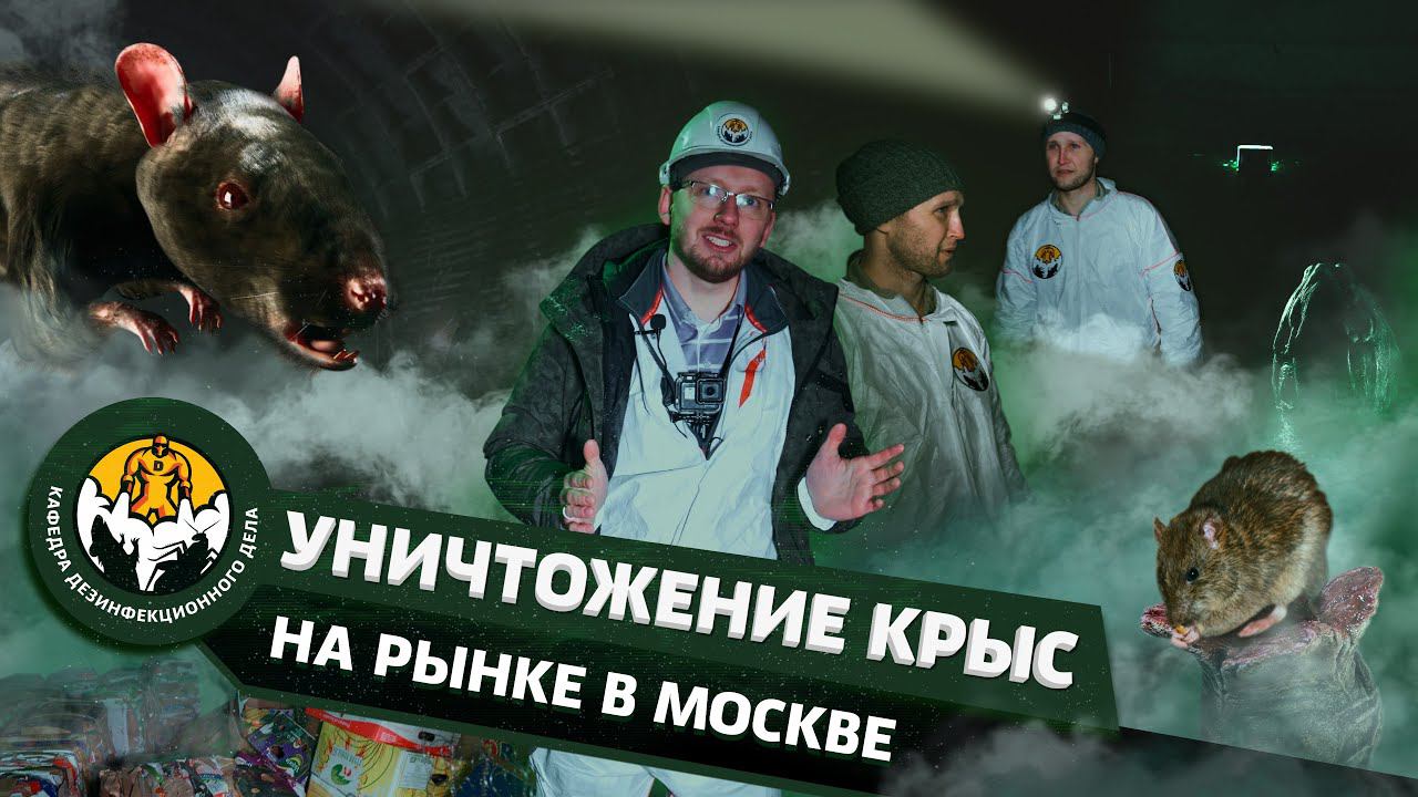 Уничтожение крыс на рынке в Москве