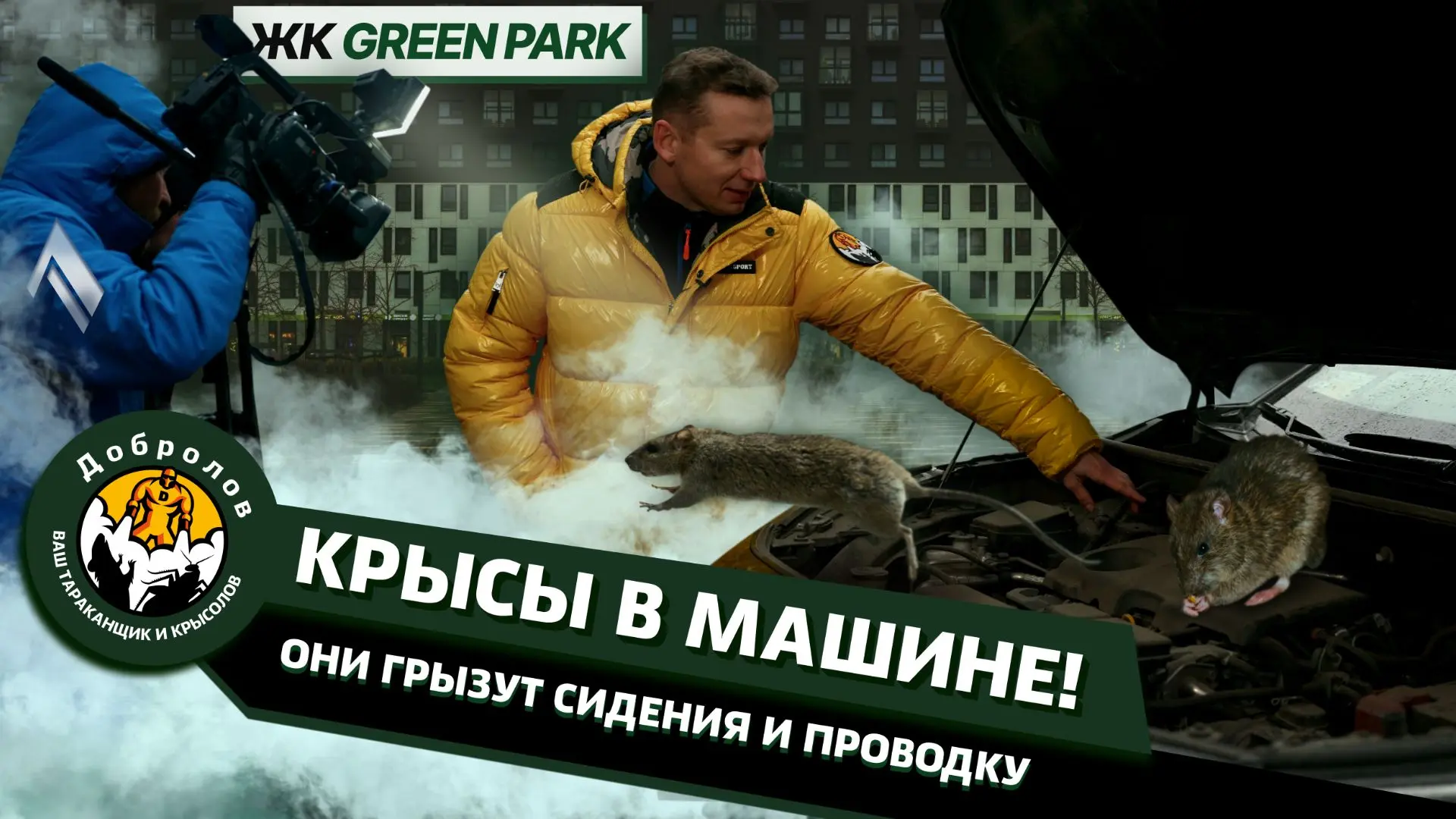 Крысы в машине
