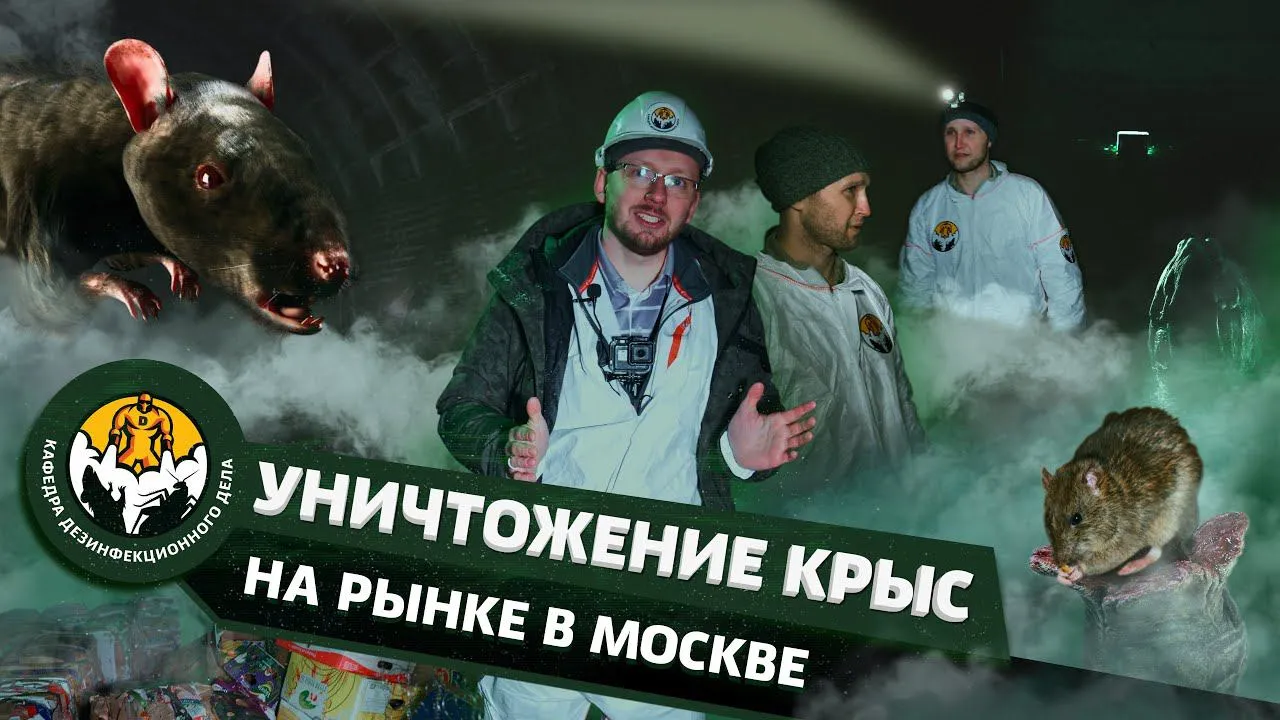  Дератизация рынка 